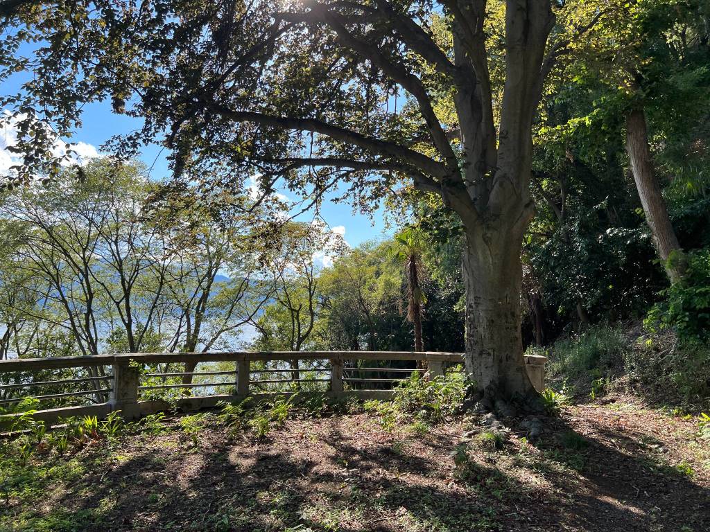 Il parco delle Torrazze e la passeggiata Romanini di laveno mombello 