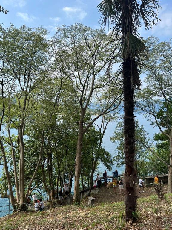 inaugurazione parco torrazze laveno mombello