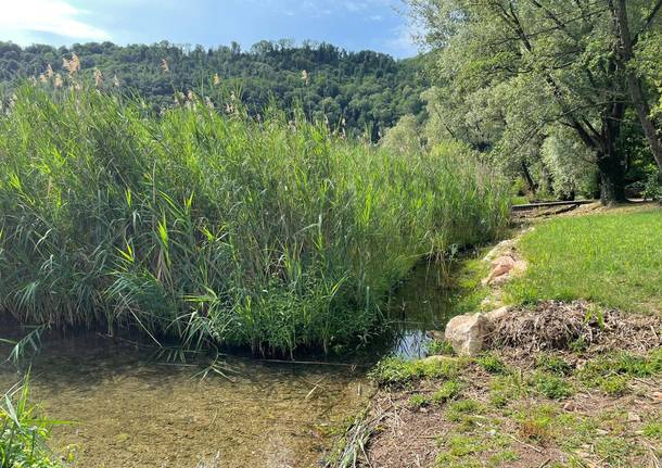 Interventi riqualificazione Lago Ceresio
