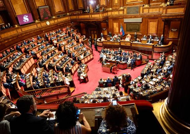 senato