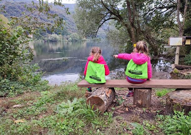 Alfa camminate Via Francisca