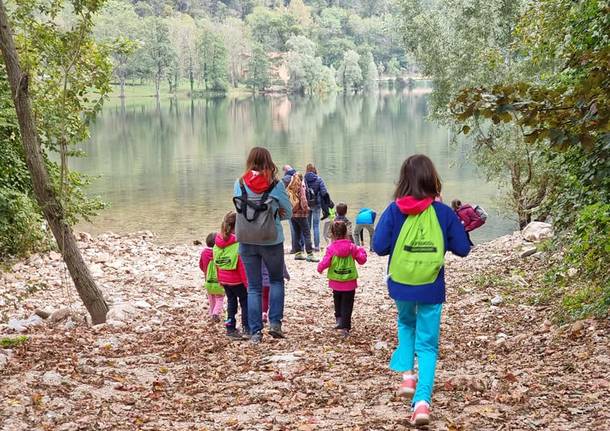 Alfa camminate Via Francisca