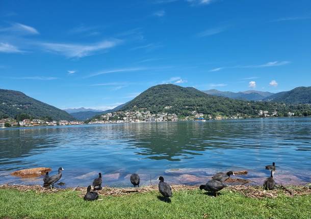 Alfa camminate Via Francisca