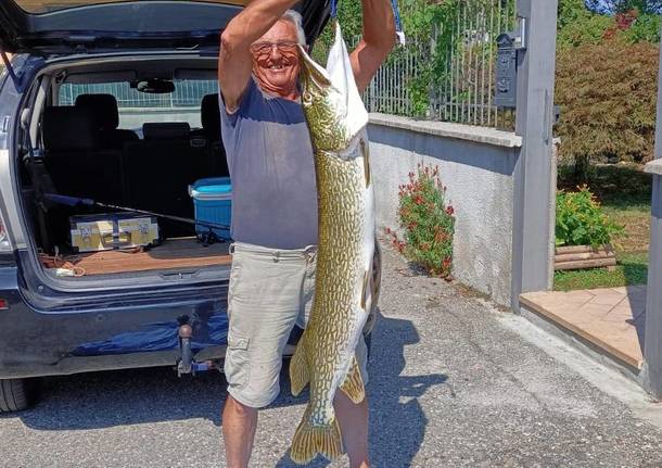 Ad Arolo pescato Luccio di 131 centimetri