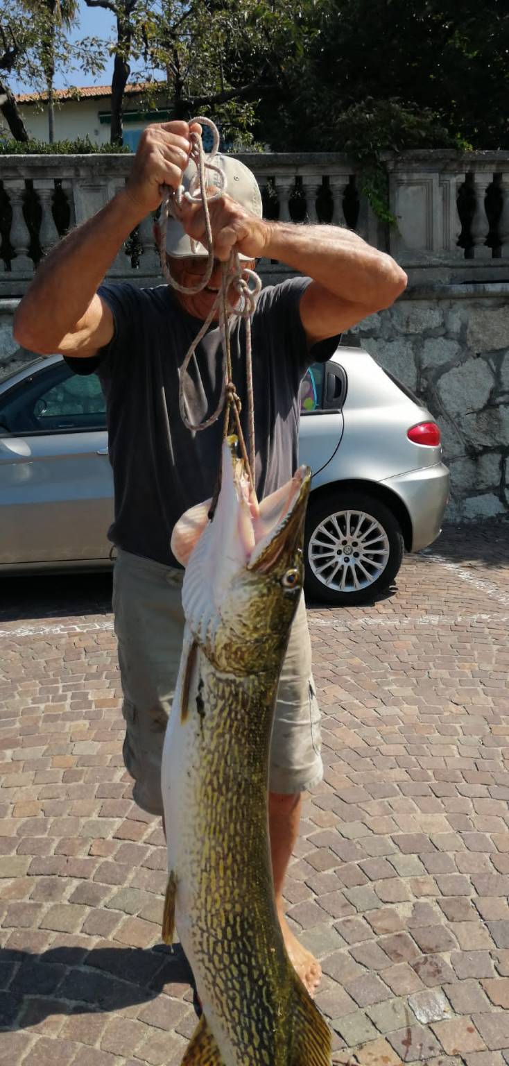 luccio 131 cm pescato ad Arolo