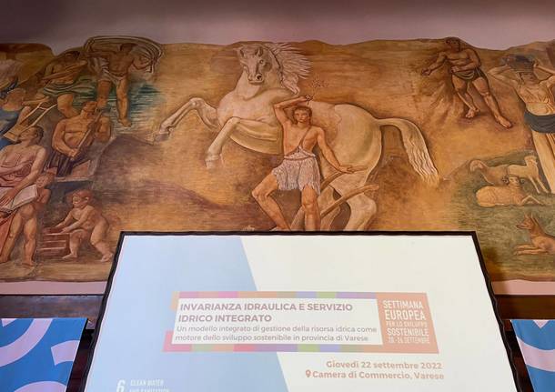 Alfa invarianza idrica