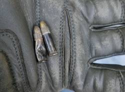 Volontari e amministratori ripuliscono i boschi dello spaccio in Valganna