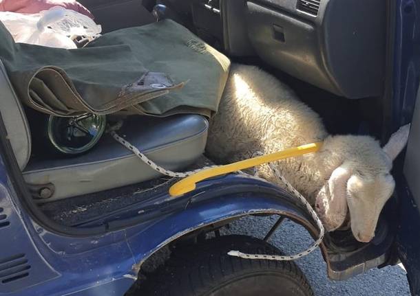 Generico 19 Sep 2022