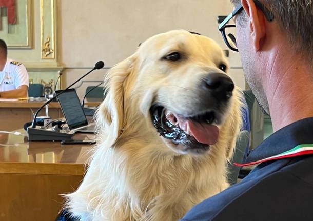 La Guardia Costiera chiude la stagione estiva sul Verbano