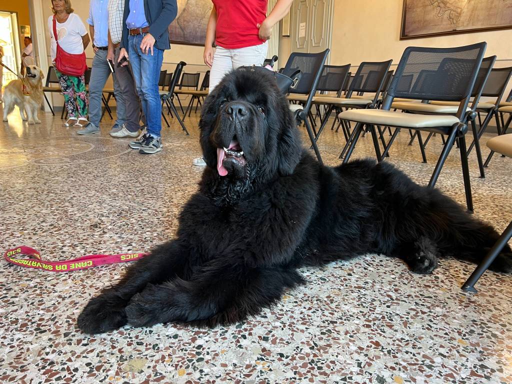 Guardia Costiera sul Lago Maggiore - 2022