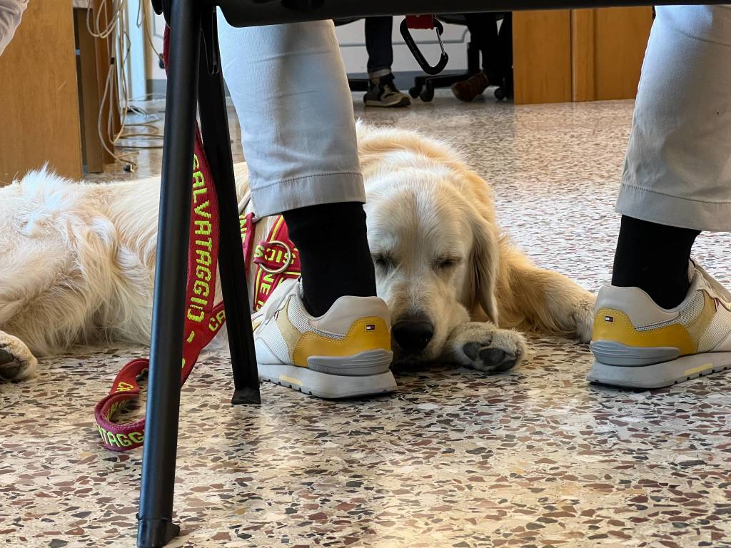 Guardia Costiera sul Lago Maggiore - 2022 