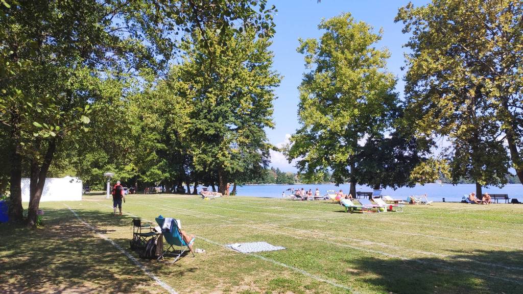 Il Larice a Cadrezzate con Osmate