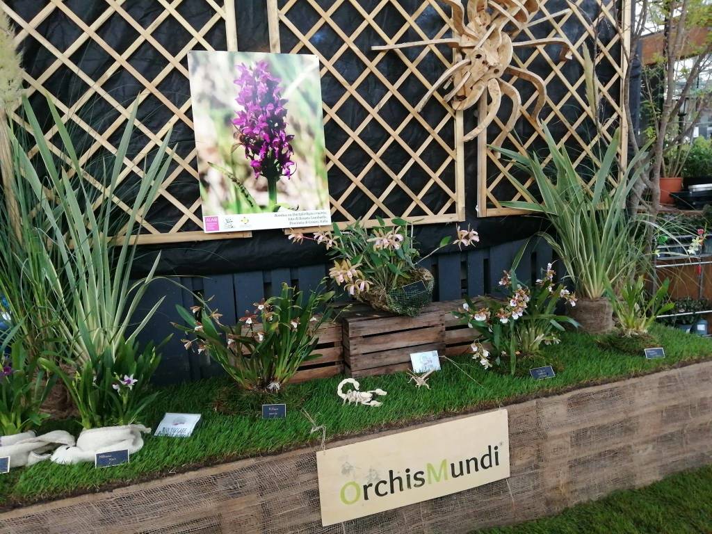 La 15^ edizione di Varese Orchidea da Agricola a Varese