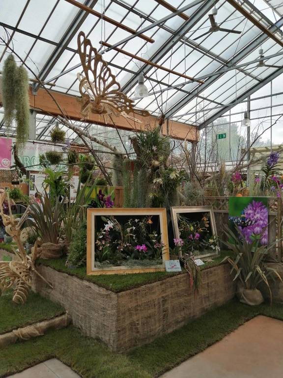 La 15^ edizione di Varese Orchidea da Agricola a Varese