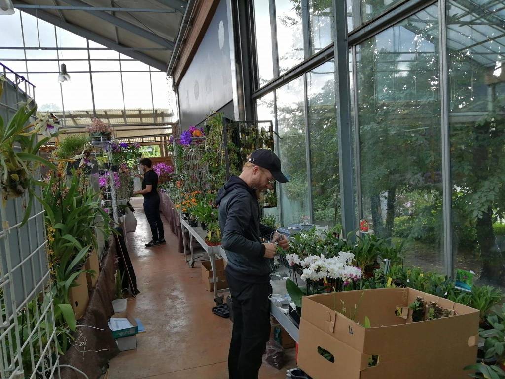 La 15^ edizione di Varese Orchidea da Agricola a Varese