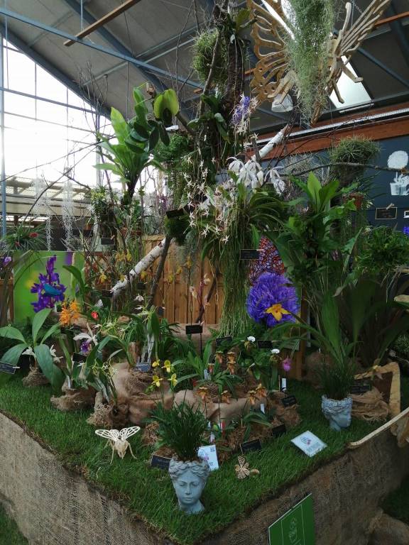 La 15^ edizione di Varese Orchidea da Agricola a Varese
