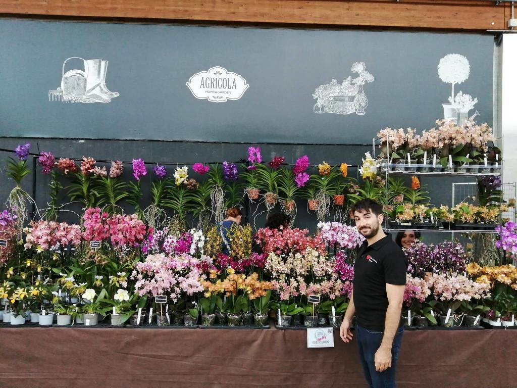 La 15^ edizione di Varese Orchidea da Agricola a Varese