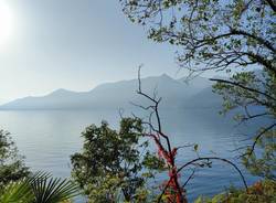 A Colmegna di Luino i colori dell'autunno 