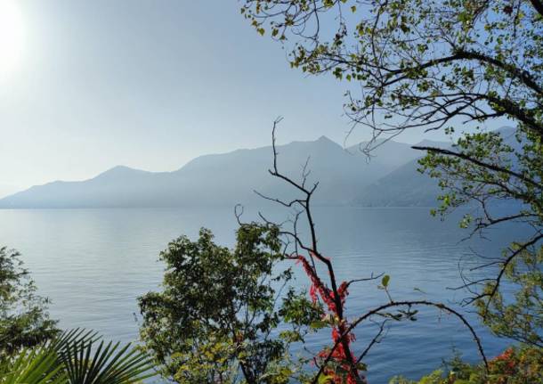 A Colmegna di Luino i colori dell'autunno