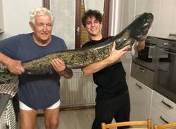 Siluro da 35kg