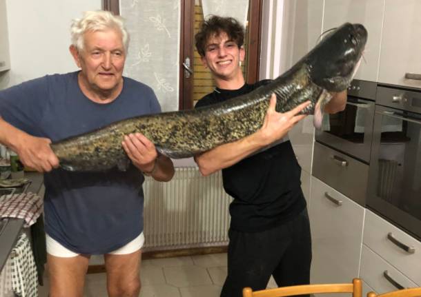 Siluro da 35kg