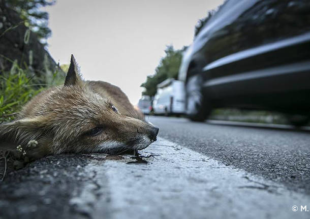 Generico 24 Oct 2022