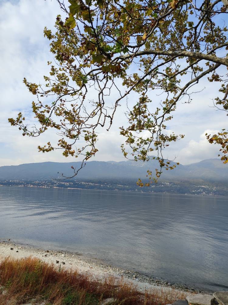 I colori dell'Autunno, oggi, nello splendido borgo di Calde'