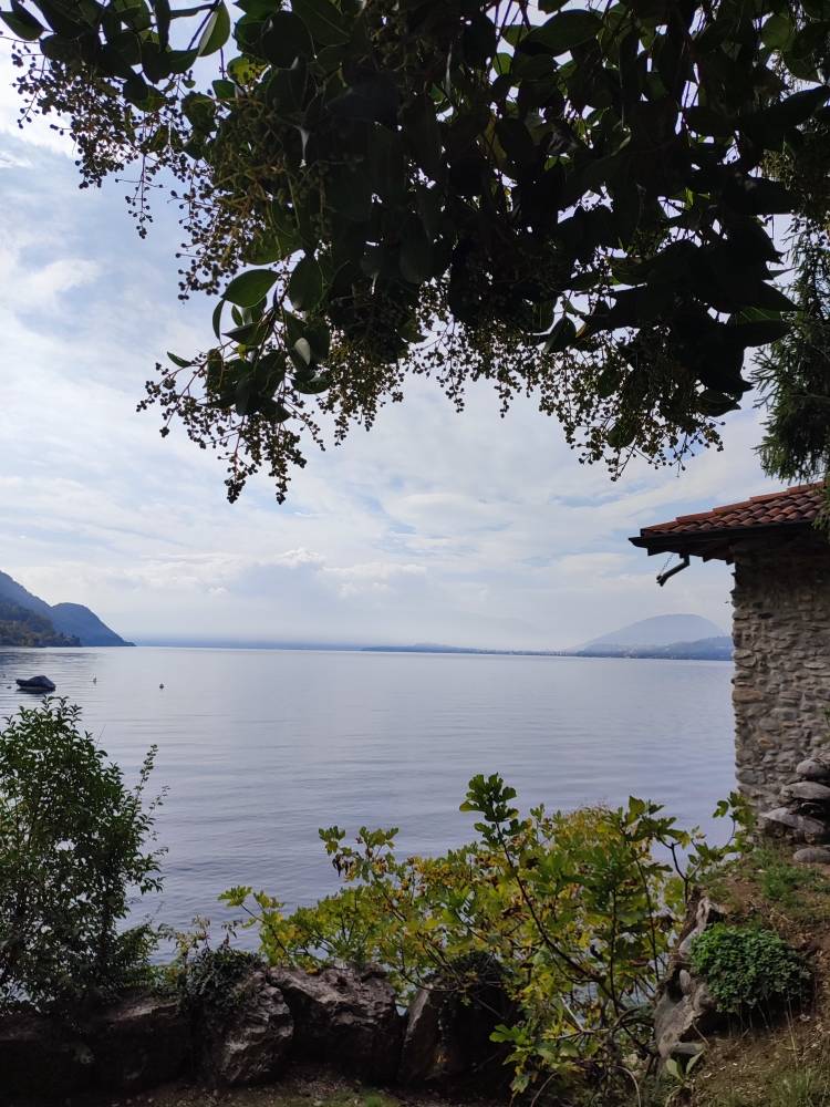 I colori dell'Autunno, oggi, nello splendido borgo di Calde' 