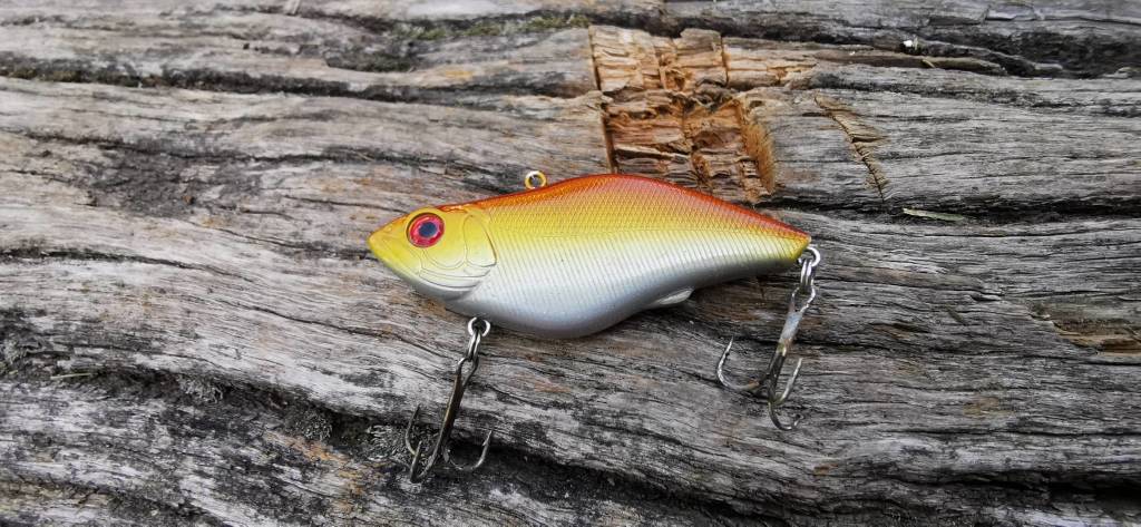 I reperti pescati col magnete nel Lago di Varese