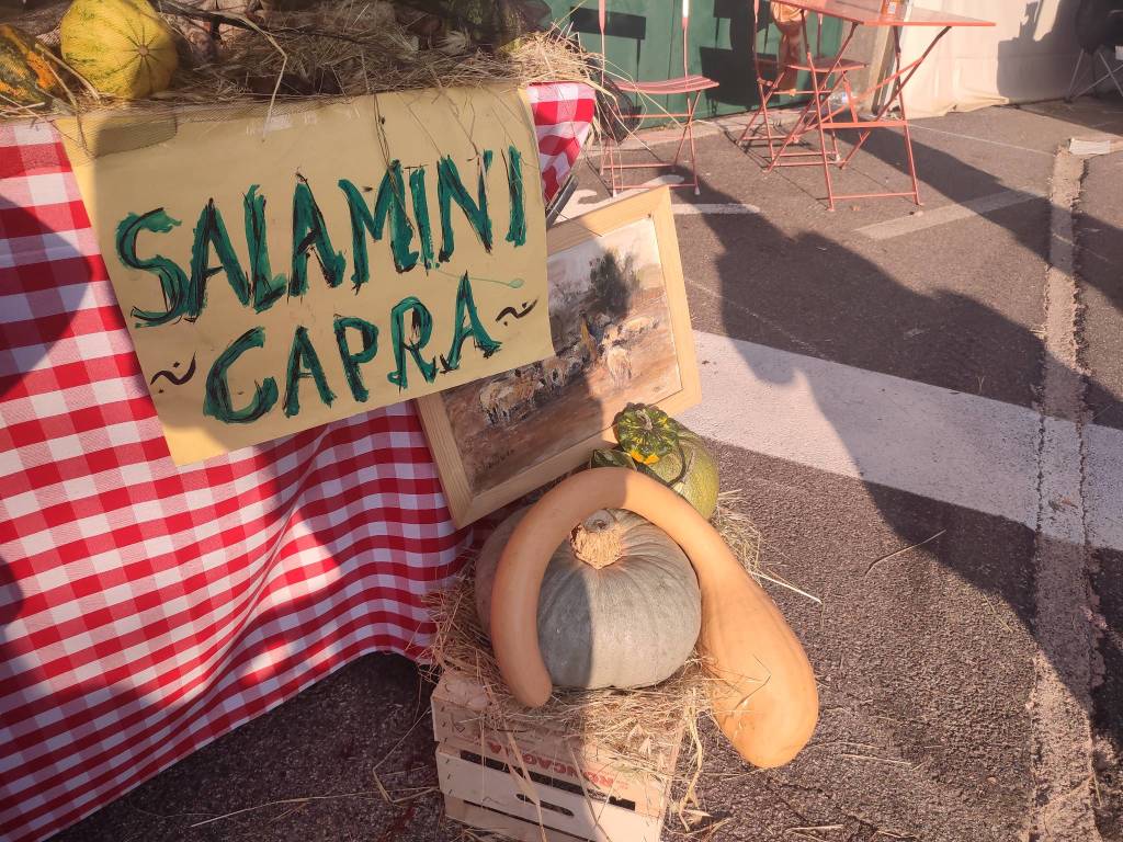 In centinaia alla 39esima edizione della Festa della Zucca