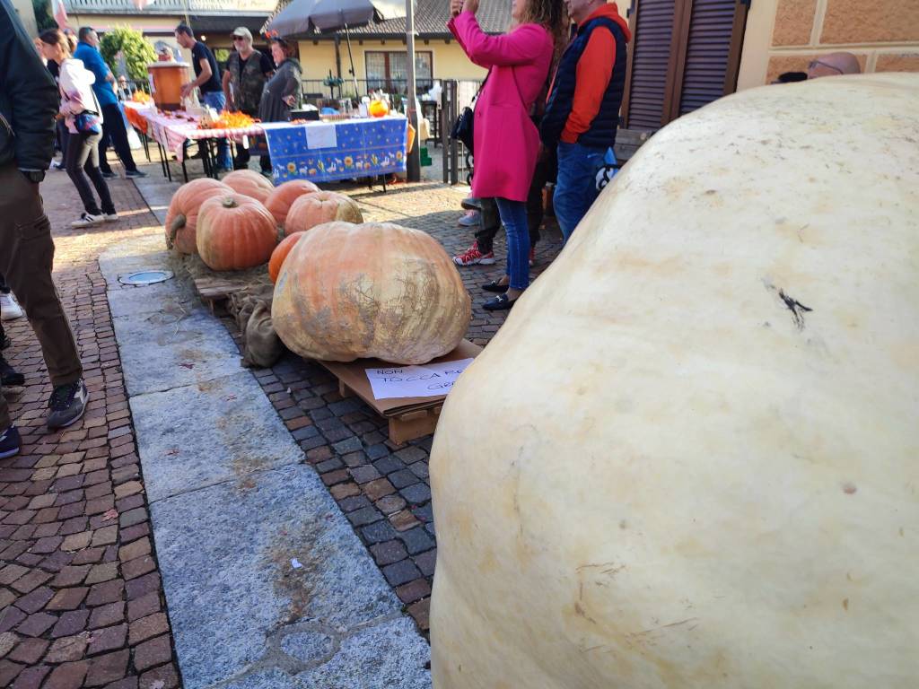 In centinaia alla 39esima edizione della Festa della Zucca