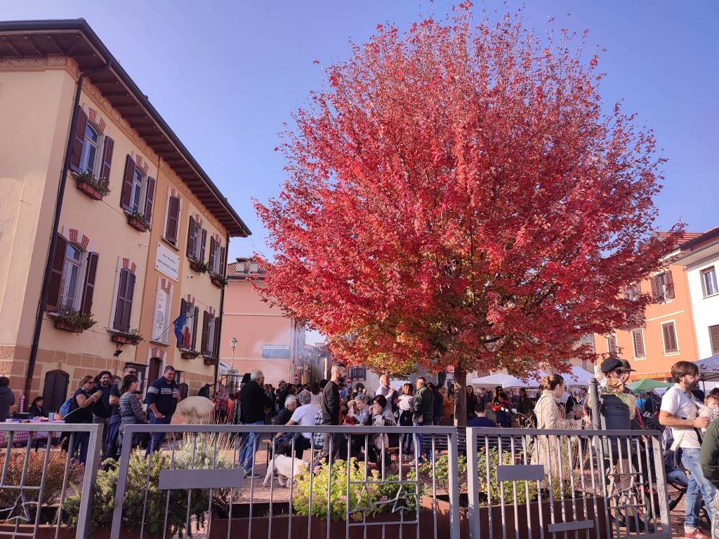 In centinaia alla 39esima edizione della Festa della Zucca
