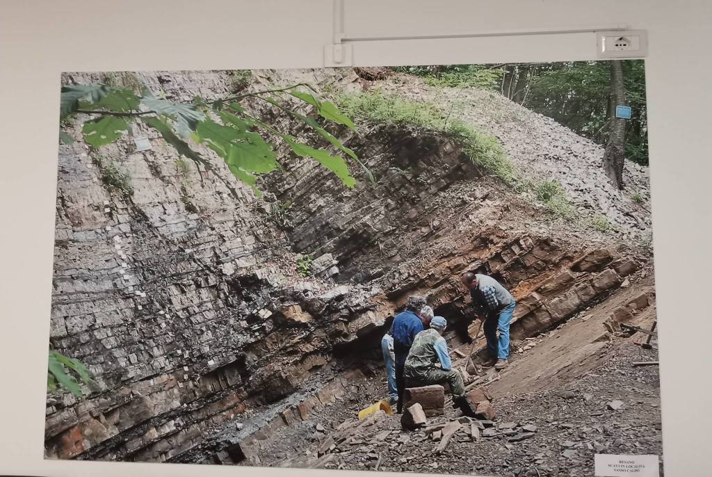 Monte San Giorgio e Museo dei Fossili di Besano