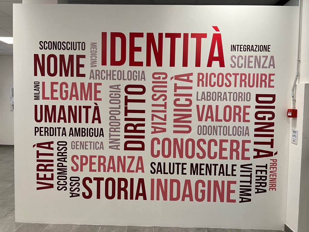 MUSA IL MUSEO 