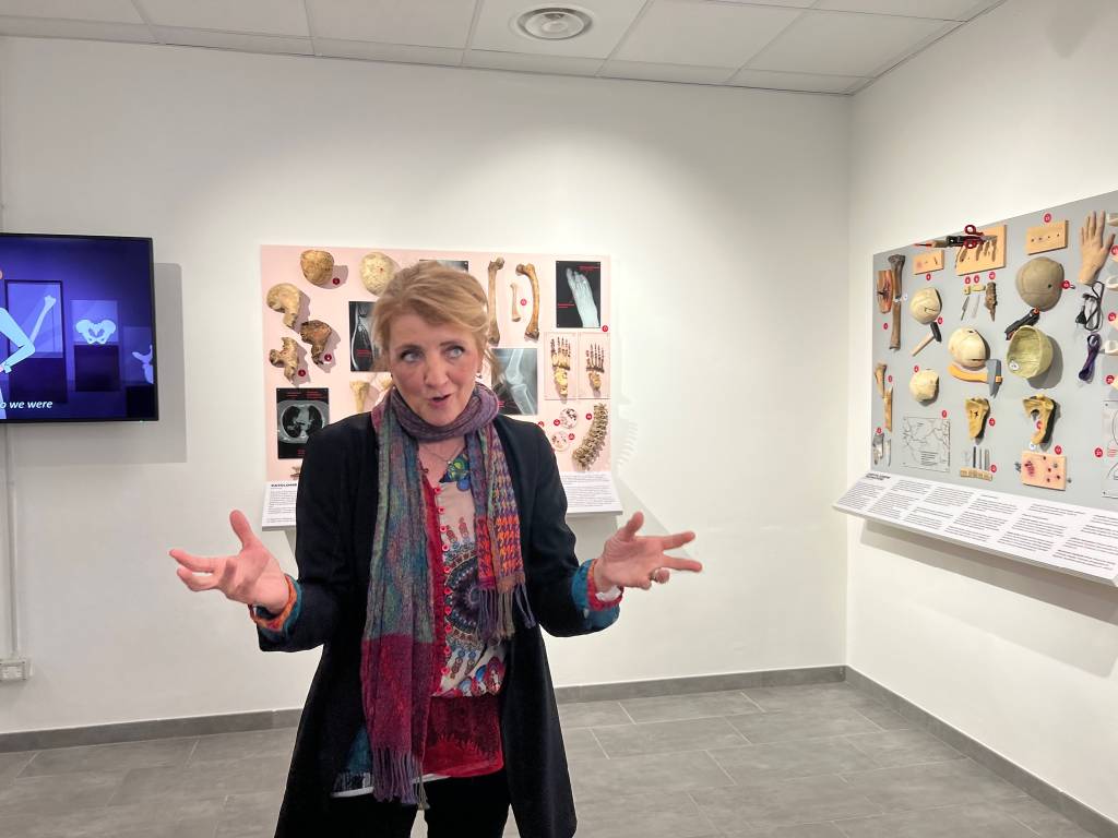 MUSA IL MUSEO 