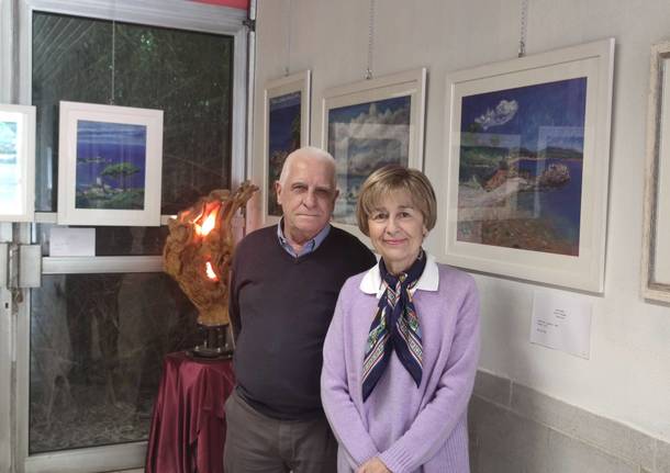 Sculture in ulivo, mosaici e haiku nella nuova mostra “alla Soara” di Angera