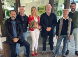 Sesto Calende ufficio turistico
