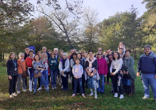 Archeologistics all'Isolino Virginia