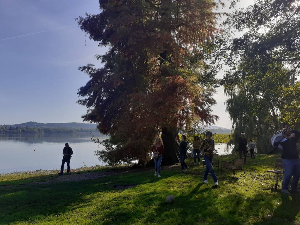 Archeologistics all'Isolino Virginia 