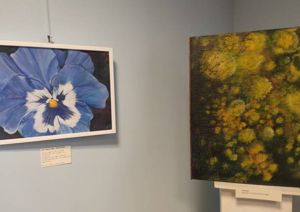 “Collisioni”: alla pinacoteca di Taino la mostra di Francesca Volponi e Enrico Berrini