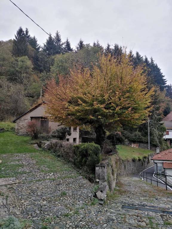 Graglio nelle foto di Stefania Adamo 