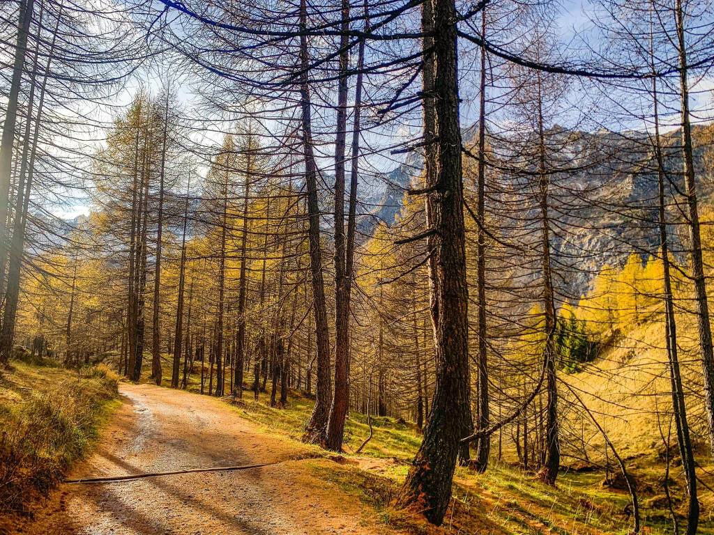 L'Alpe Devero e i colori dell'autunno 