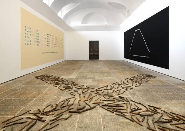 La mostra Ex Natura a Villa e Collezione Panza a Varese