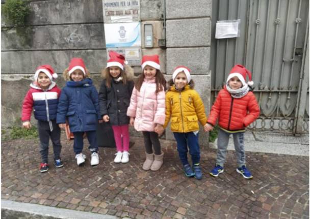 asilo verbania solidarietà