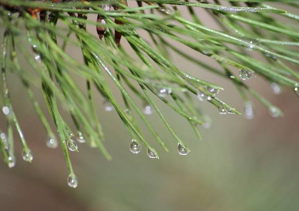 Generico 19 Dec 2022