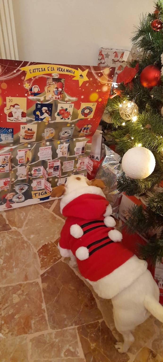 Natale 2022 - L'attesa è la vera magia