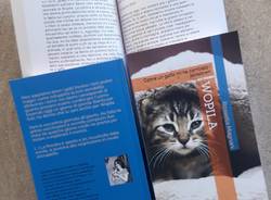 tempo libero generica 