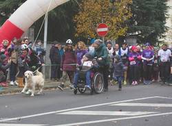 Una camminata per Viola a Ispra 