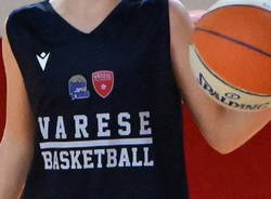 varese basketball