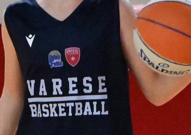 varese basketball